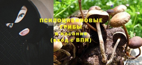 мдпв Покровск