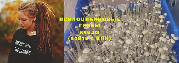 не бодяженный Алзамай