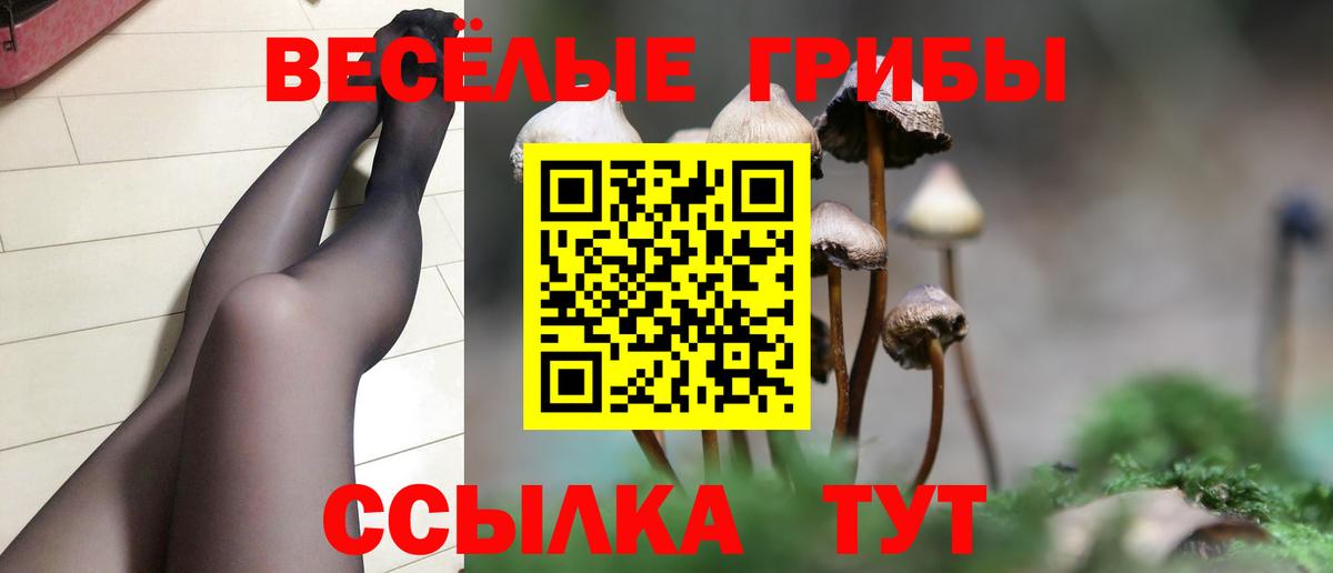 Псилоцибиновые грибы GOLDEN TEACHER Санкт-Петербург