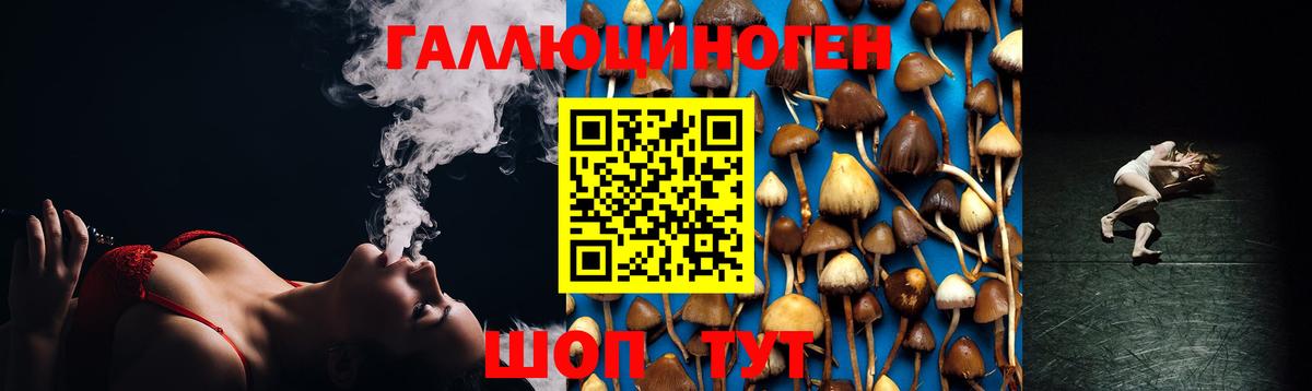 Санкт-Петербург  Псилоцибиновые грибы прущие грибы  Галлюциногенные грибы мухоморы  Вход с VPN 
